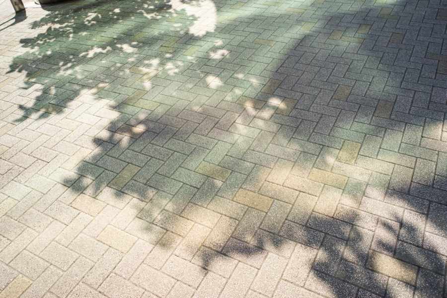 Jodorowsky and Shibuya